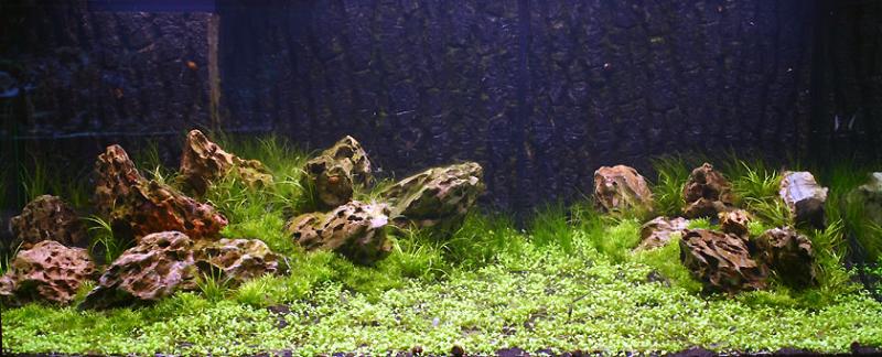 17th day after set up