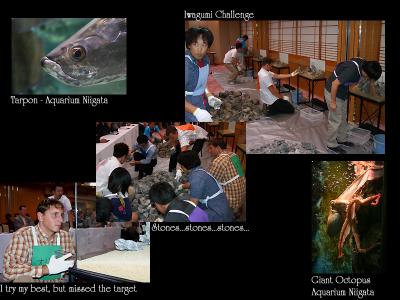 Aquarium Party Niigata - Japan - 2004