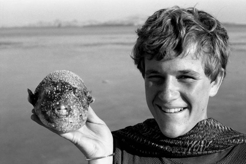 Paddy with Dead Blowfish