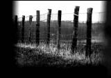 fence