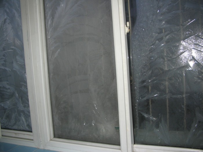 ice flower.JPG
