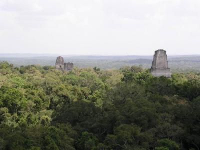 En Tikal, Guatemala