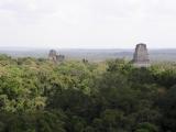 En Tikal, Guatemala