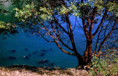 Blue Lagoon