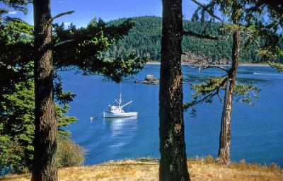 Pacific Boat