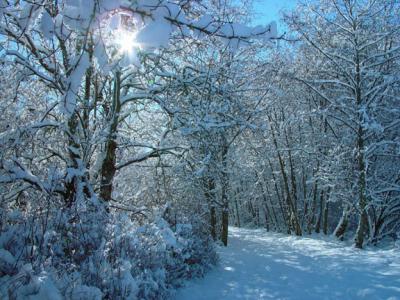 Magical trailPicture of the DayShutterbugs.biz