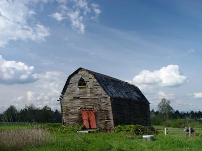 Whatcom County Barn.jpg