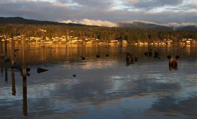 whatcom sunset.jpg