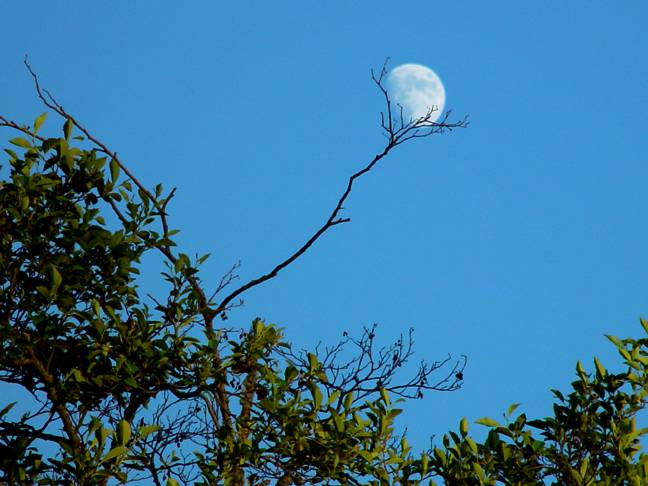 Capturing the Moon<BR>Fifth Place<BR>Sony Talk Forum<BR>Challenge 19 Eligible