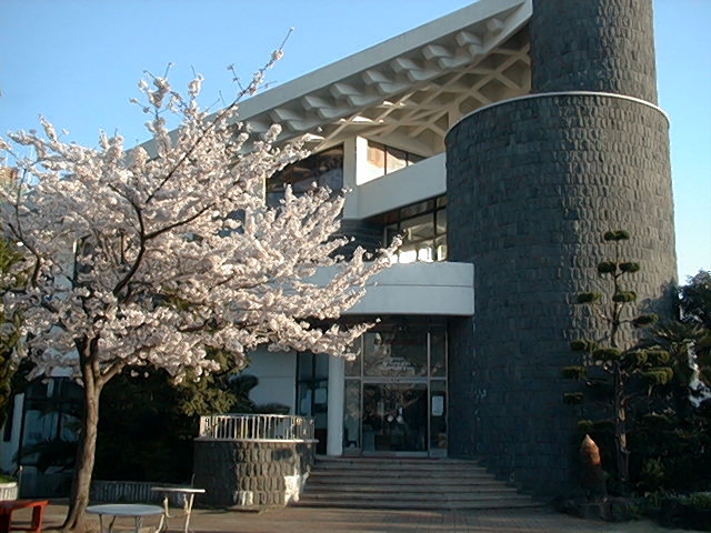 Image22.jpg