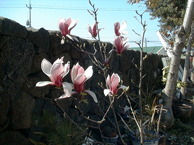 Image24.jpg