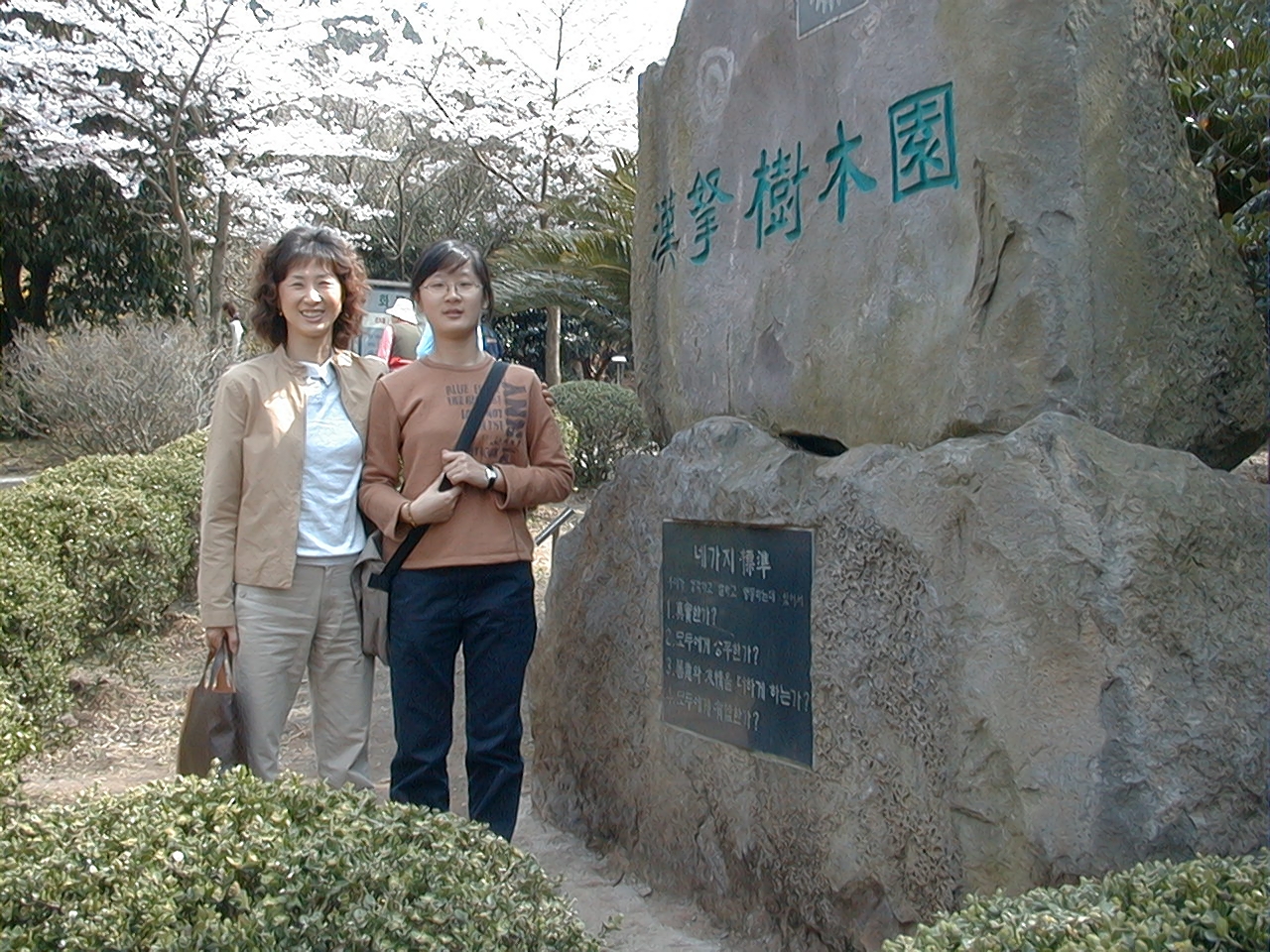 Image42.jpg