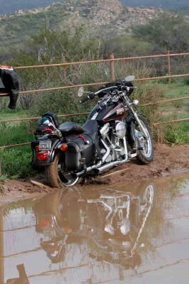 Sometimes The FXR Thinks Its a Dirt Bike!