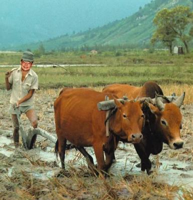Wei-Farmer_WEB.jpg