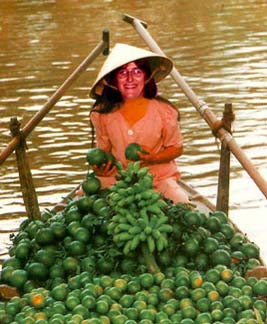 Patti-limes_WEB.jpg