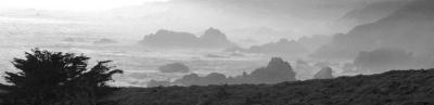 PaD 28-MAR-2004b