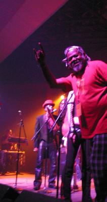 IMG_3916.jpg