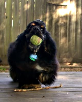 Play ball with me!