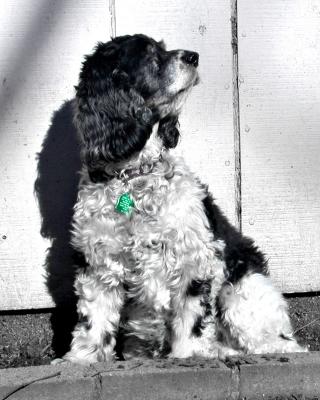 What's over there?