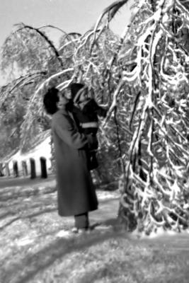 Snowy Tree 1959