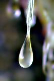 [April 2nd] Frozen drop