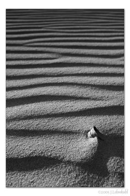 Lines and the Leaf