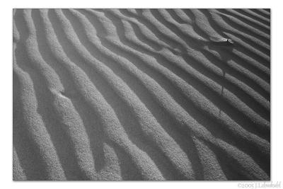 Rebellious Shadow #2