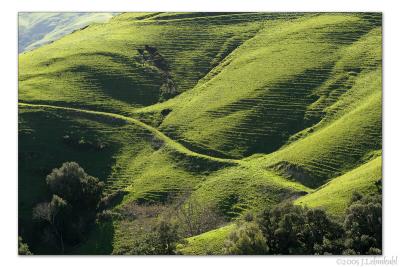 Hills above Cambria