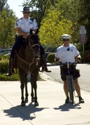 Boise Police Mounted Division