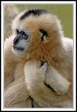 Fort Worth Zoo - 2004
