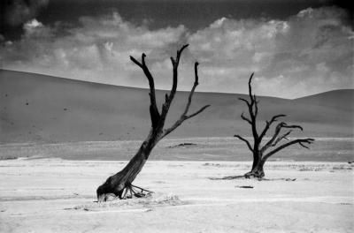 dead vlei bw