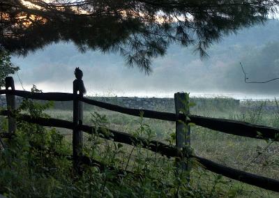 Misty fence