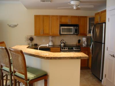 condo kitchen