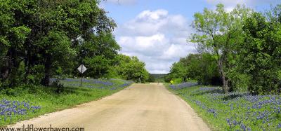 Willow City Loop 2004-07