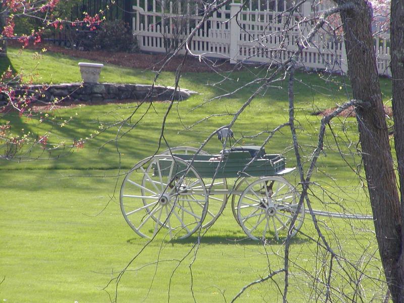 Carriage in Windham, NH