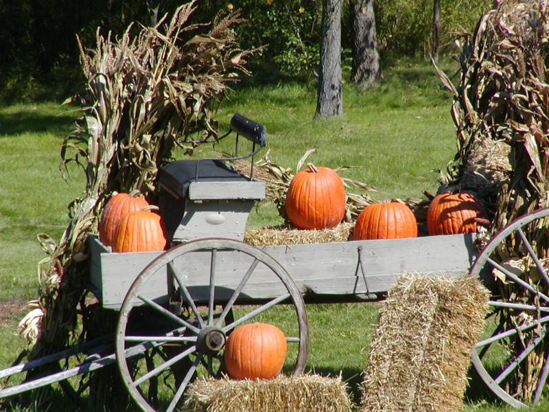 Fall wagon in Windham, NH