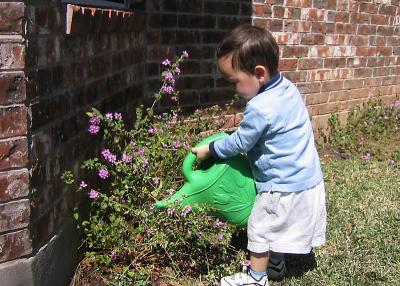 040317_Michael_flowers_01.jpg