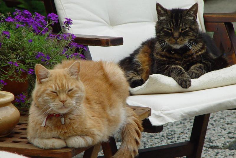 Frits and Max (red)