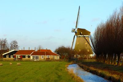 Mill in january