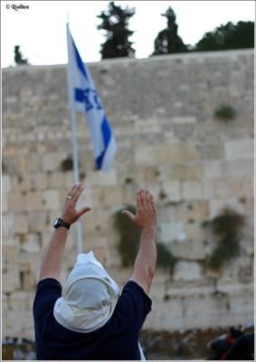 King David flag and holly wall