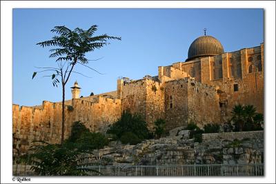 Good morning Jerusalem
