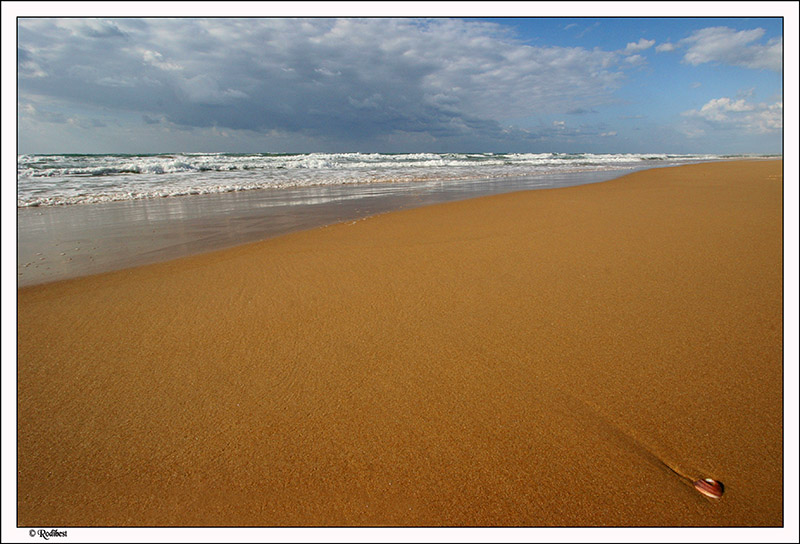 Netanya Shore