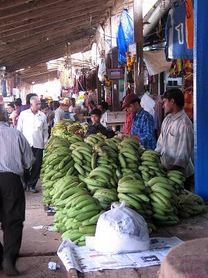 Bananas