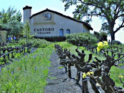 Castoro Cellars