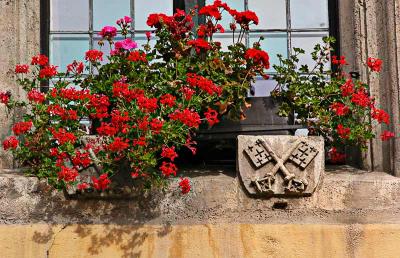 Flowers and city seal