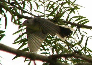 u42/rosah/upload/33339335.sept2107.jpg