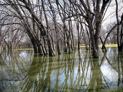 Spring Flood.JPG