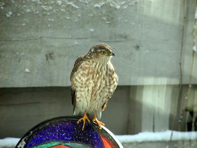 March 2005
