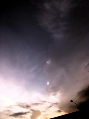erDSCN9098.jpg