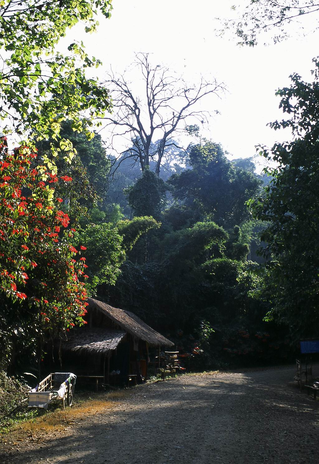 Walk To The Waterfall